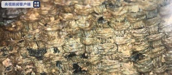 三星堆发现最大面积丝绸残留物 这是咋情况?