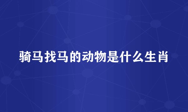 骑马找马的动物是什么生肖