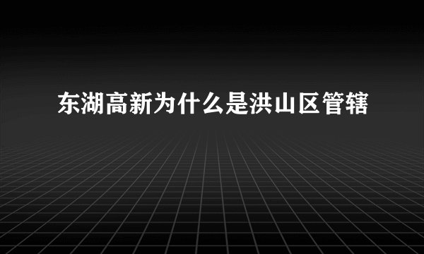 东湖高新为什么是洪山区管辖