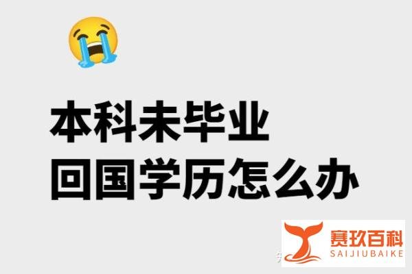 留学本科退学回国，出路竟然这么多？！