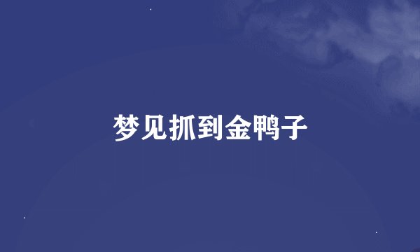 梦见抓到金鸭子