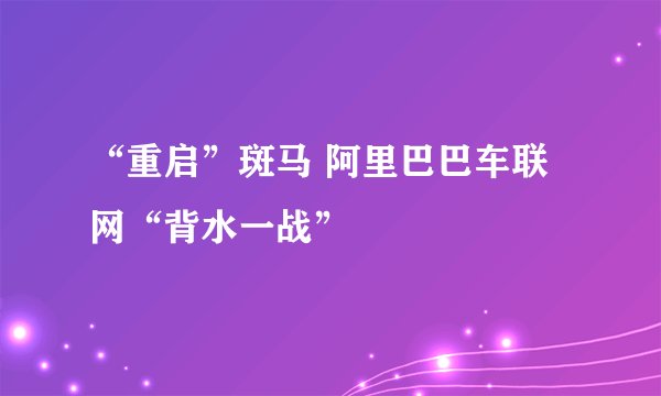 “重启”斑马 阿里巴巴车联网“背水一战”