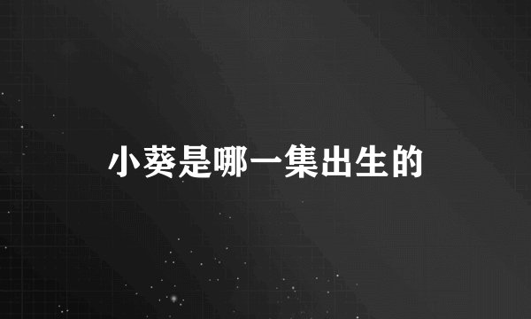 小葵是哪一集出生的
