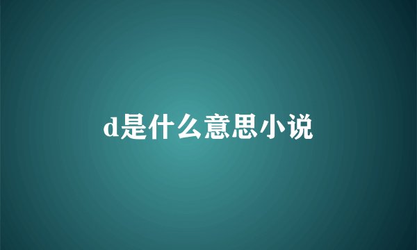 d是什么意思小说