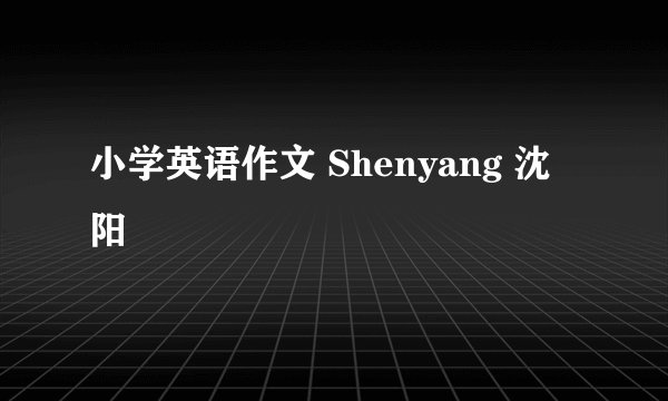 小学英语作文 Shenyang 沈阳