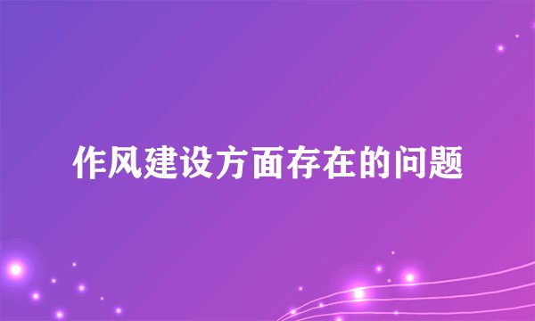 作风建设方面存在的问题