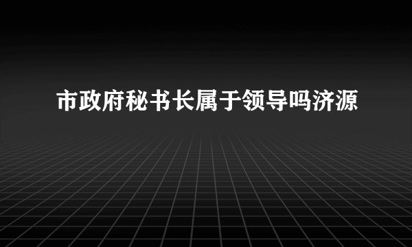 市政府秘书长属于领导吗济源