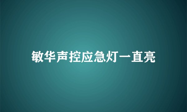 敏华声控应急灯一直亮
