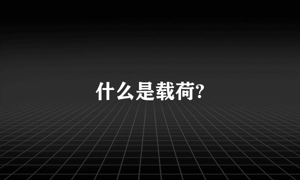 什么是载荷?