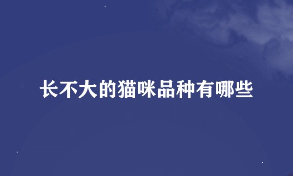 长不大的猫咪品种有哪些