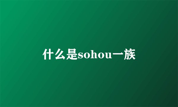 什么是sohou一族