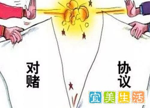 卫哲大战投行女:当两个“精致的利己主义者”碰到一起......