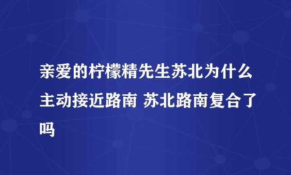 亲爱的柠檬精先生苏北为什么主动接近路南 苏北路南复合了吗