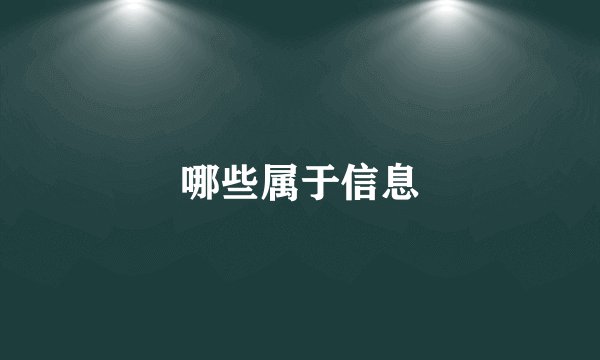 哪些属于信息
